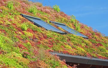 Lower Soudley living roof systems